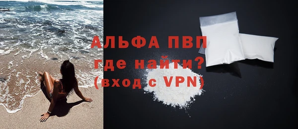 индика Костерёво