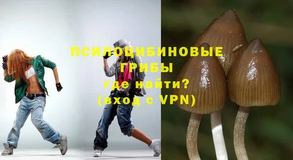 индика Костерёво