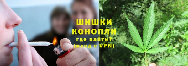 индика Костерёво