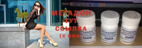 индика Костерёво
