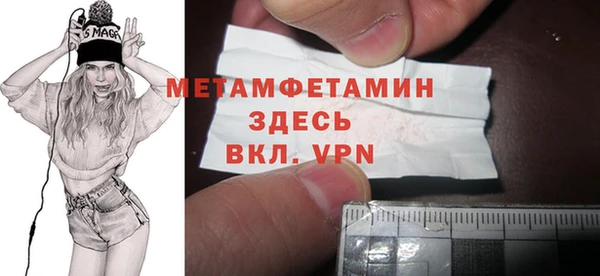 индика Костерёво