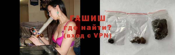 индика Коряжма