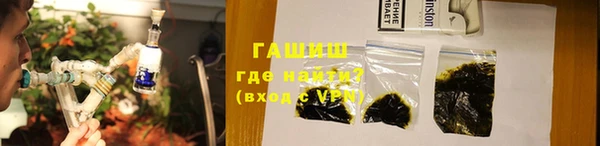 индика Костерёво