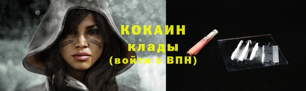 индика Коряжма