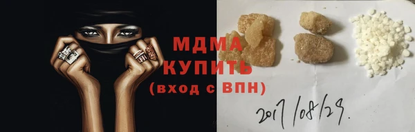 индика Костерёво