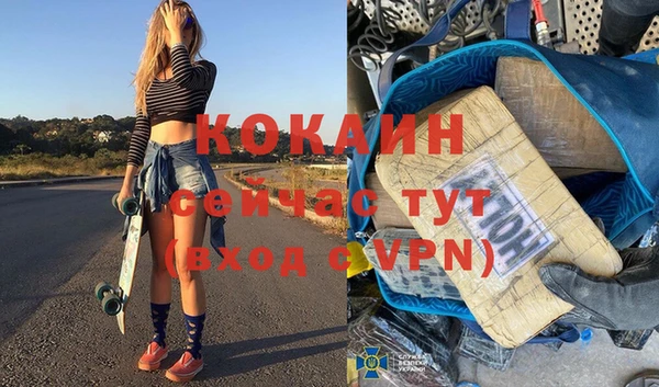 индика Коряжма