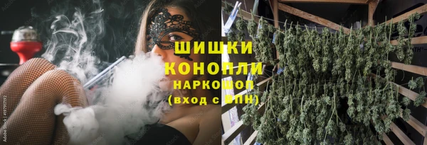 индика Коряжма