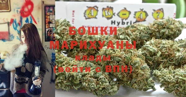 индика Коряжма